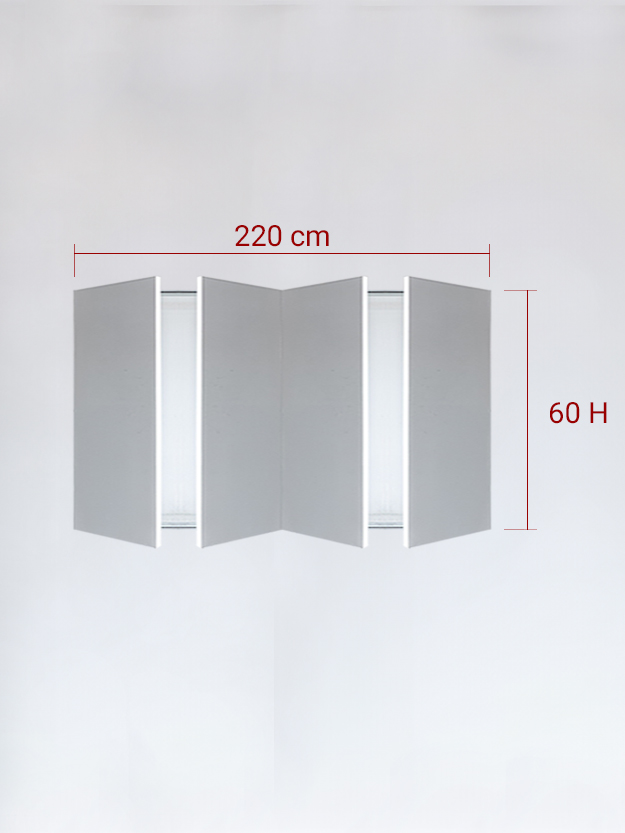 Panneaux invisible 4 vantaux pour niche 220x60