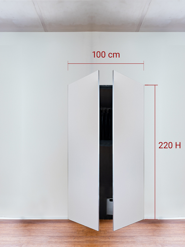 Armoire invisible 2 vantaux 100x220 cm