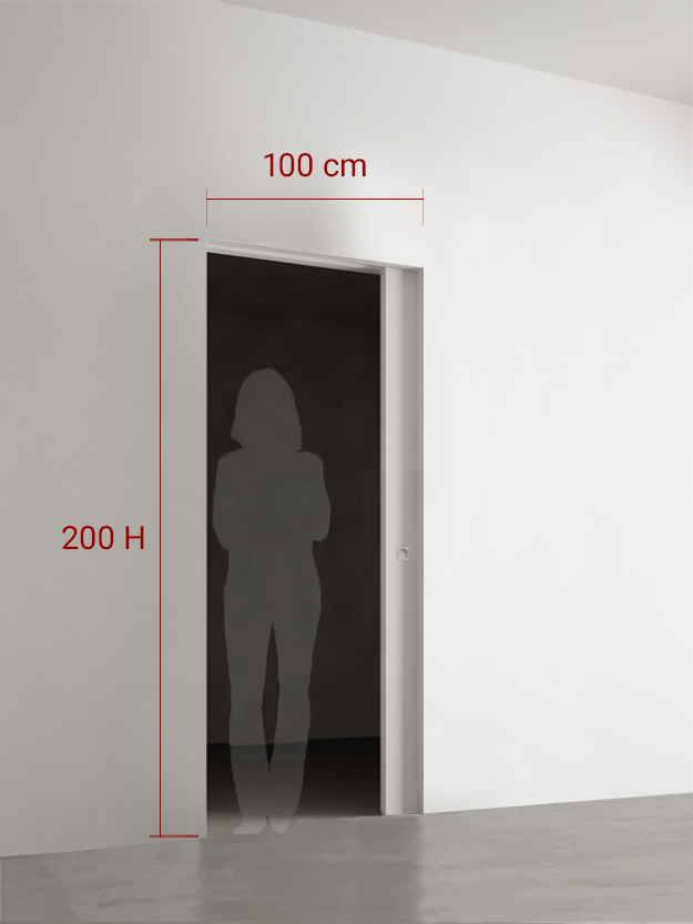 Porte coulissante 100x200 cm