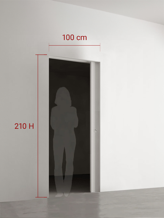 Porte coulissante 100x210 cm