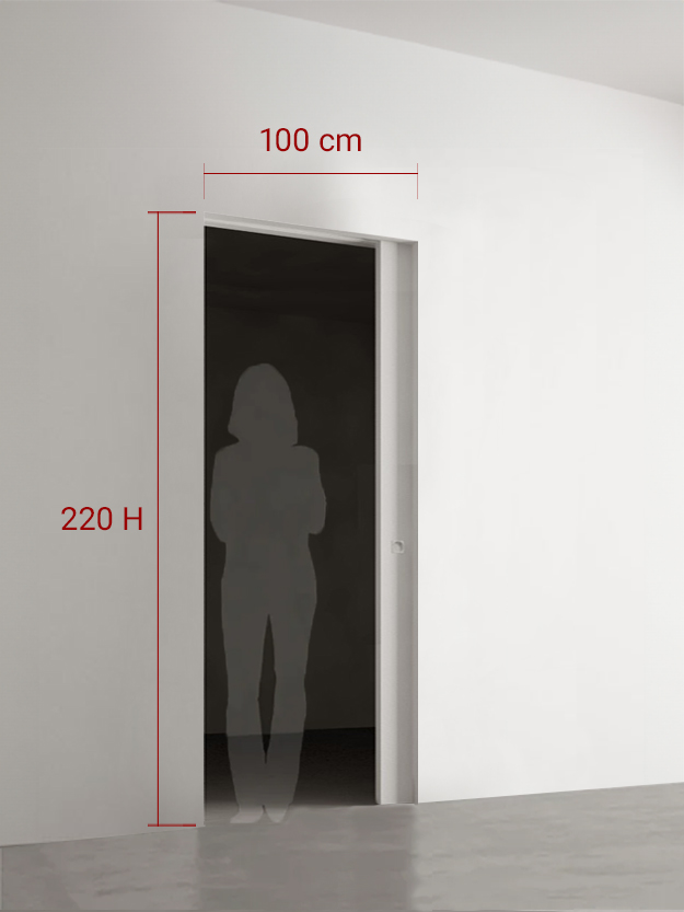 Porte coulissante 100x220 cm