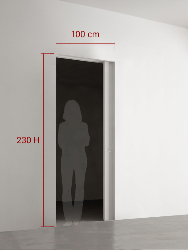 Porte coulissante 100x230 cm