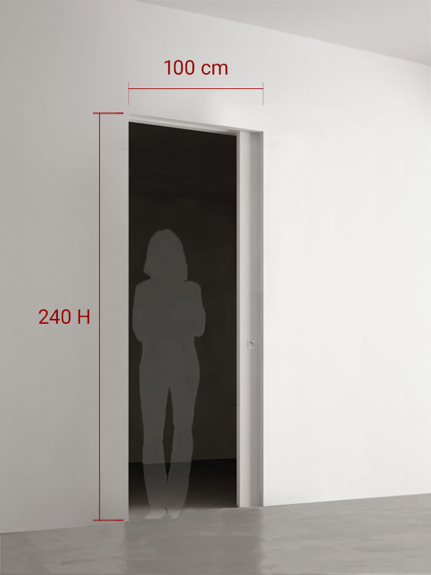 Porte coulissante 100x240 cm
