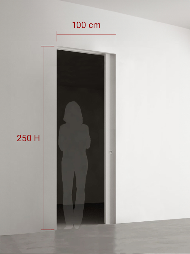 Porte coulissante 100x250 cm