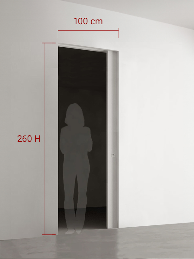Porte coulissante 100x260 cm