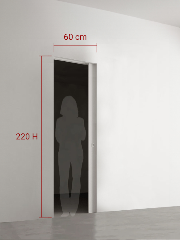 Porte coulissante 60x220 cm