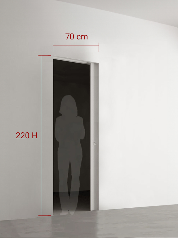 Porte coulissante 70x220 cm