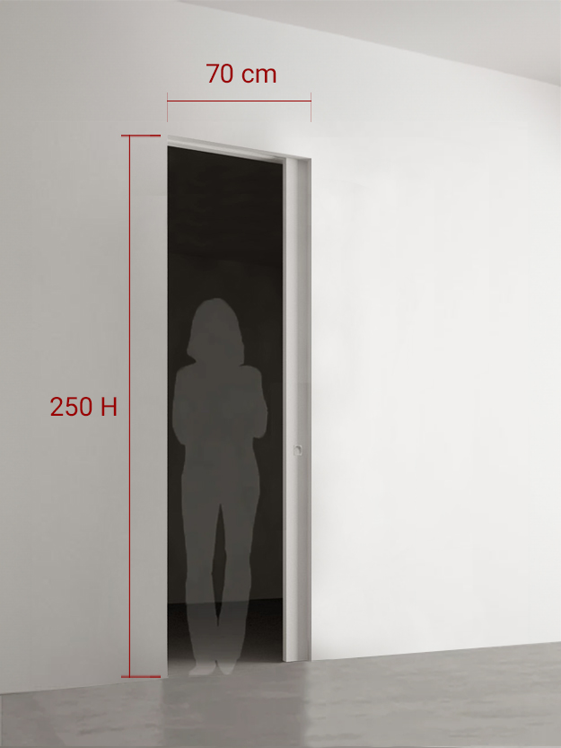 Porte coulissante 70x250 cm