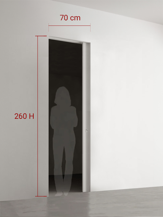 Porte coulissante 70x260 cm