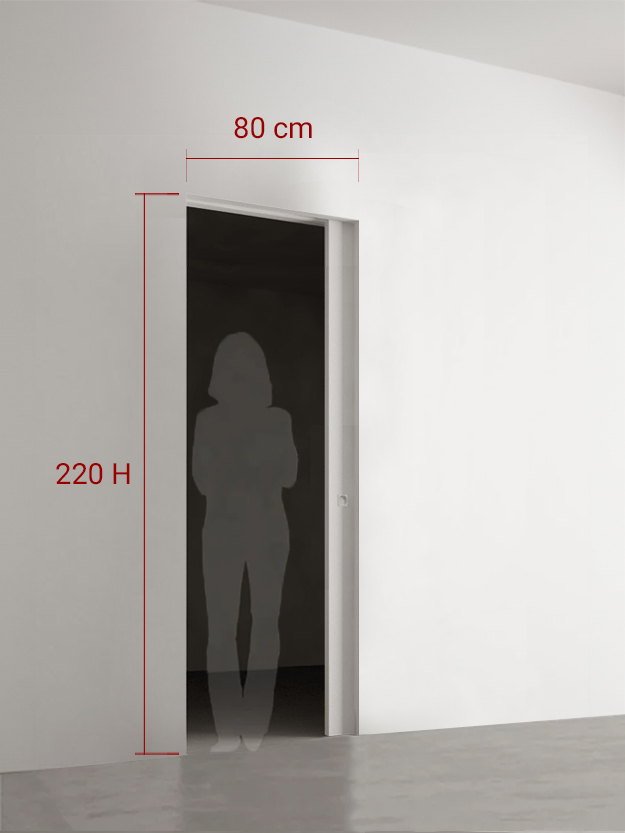 Porte coulissante 80x220 cm