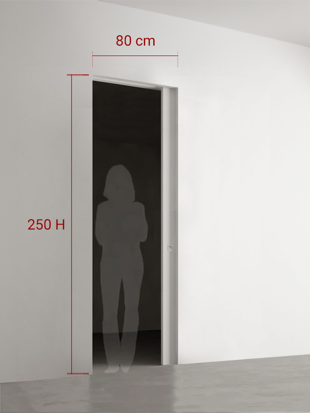 Porte coulissante 80x250 cm