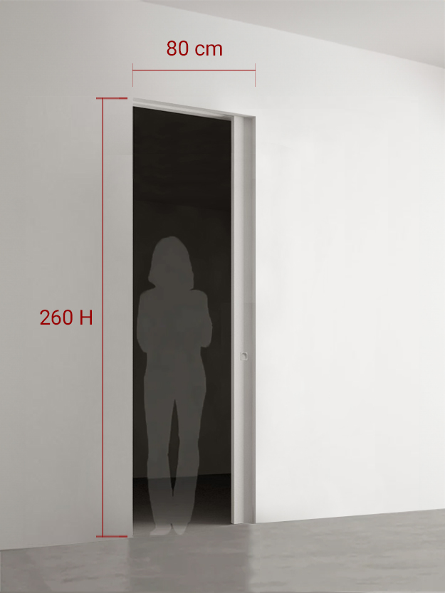 Porte coulissante 80x260 cm